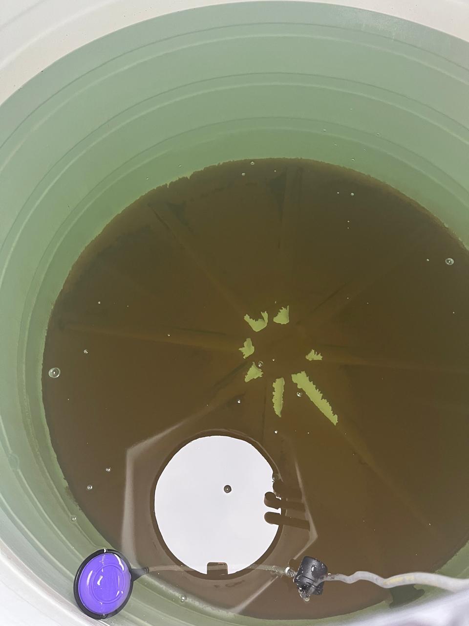 Tanque de agua antes de la limpieza realizada por DZ Servicios